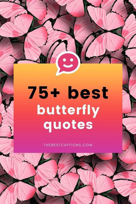 Butterfly Birthday Wishes Quotes, Butterfly Sayings Inspiration, Butterfly Quotes Inspirational Life, Quotes About Butterflies Inspirational, Butterfly Quotes Short Life, Butterfly Sayings Quotes, Cute Butterfly Quotes Short, Butterfly Quotes Short Words, Butterfly Quotes Inspirational Short