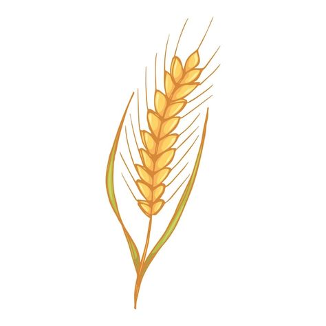 Vector hand drawn wheat doodle illustrat... | Premium Vector #Freepik #vector #rye #barley #flour-logo #rice-plant Wheat Doodle, Rice Plant Drawing, Wheat Illustration, Logo Rice, Rice Plant, Barley Flour, Illustration Cute, Farm Market, Container Design