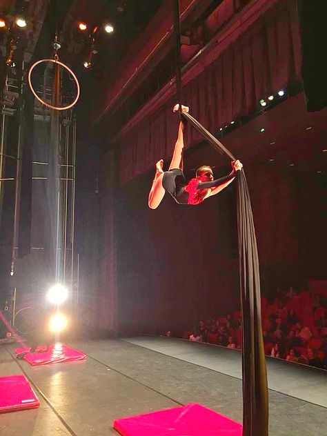 Arial Silks, Aerial Dance, Aerial Arts, Circus Art, Book Flowers, Aerial Silks, 2024 Vision, Gymnastics, Circus