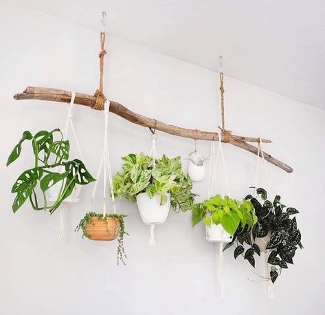 Hanging Plant Holders, Plants Hanging, Hanging Plant Holder, Hanging Plants Indoor, Deco Nature, Plant Ideas, Plant Decor Indoor, Houseplants Indoor, House Plants Decor