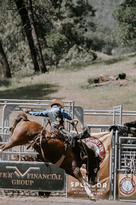 Bronc Riding Wallpaper, Bronc Riding Aesthetic, Bullrider Aesthetic, Bull Rider Aesthetic, Bull Riding Wallpaper, Bull Riding Aesthetic, Bronc Horse, Rodeo Pictures, Rodeo Photography