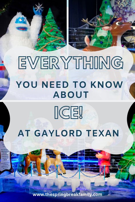 Experience a Lone Star Texan Christmas at the Gaylord Texan in Grapevine, TX (near Dallas, TX)!  Learn EVERYTHING you need to know for a visit to their annual ICE! attraction from parking to activities to tips and tricks. via @thespringbreakfamily Grapevine Tx Christmas, Dallas Christmas, Spring Break Quotes, Family Weekend Activities, Spring Break Pictures, Six Flags Over Texas, Family Spring Break, Grapevine Christmas, Spring Break Party