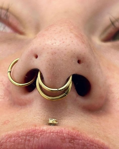 Chavez | APP Member | BVLA | SLO Piercing | Forward nostrils / Mantis piercings w/ 18k hinged rings and Meander VII chain by @leroifinejewellery I’m back from piercer retirement for... | Instagram Piercing Apprenticeship, Mantis Piercing, 3 Lobe Piercings, High Nostril Piercing, Piercing Chart, Hinged Ring, Face Piercings, Nose Piercings, Cool Piercings