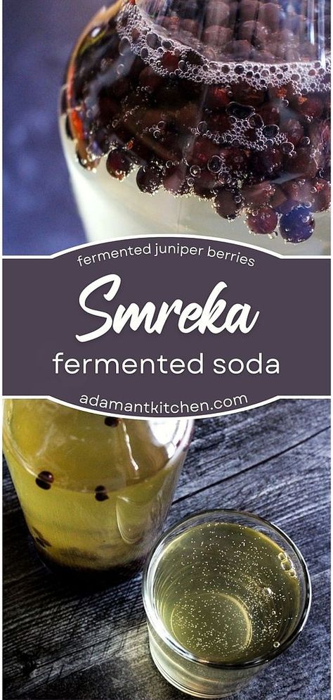 Explore the world of Balkan drinks with our Fermented Soda Smreka Recipe, a highlight in fermented soda recipes. Made with just juniper berries and water, this probiotic juniper soda is not only simple to make but offers a unique herbal lemonade flavor. Perfect for those looking for a healthy, homemade soda option. Discover more at adamantkitchen.com. Smreka Recipe, Herbal Lemonade, Fermented Soda, Wild Food Foraging, Foraging Recipes, Homemade Soda, Soda Shop, Probiotic Drinks, Fermentation Recipes