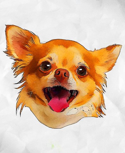 The Chihuahua is one of the smallest dog breeds, named after the Mexican state of Chihuahua. Chihuahuas remained rare until the early 20th century, and the American Kennel Club did not register the Chihuahua until 1904. Please contact me if you want custom background or design. Chiwawa Illustration, Chihuahua Painting Acrylics, Watercolor Chihuahua Dog Paintings, Long Hair Chihuahua Painting, Chihuahua Wall Art, American Kennel Club, Small Dog Breeds, Chihuahua Dogs, Early 20th Century