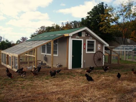 Very nice large chicken coop - has 3 interior rooms, so has space to separate flock.  Has two runs, one on each side of the coop.  Very cool! Large Chicken Coop, Portable Chicken Coop, Chicken Pen, Chicken Coup, Coop Ideas, Coop Design, Best Chicken Coop, Chicken Coop Designs, Diy Chicken