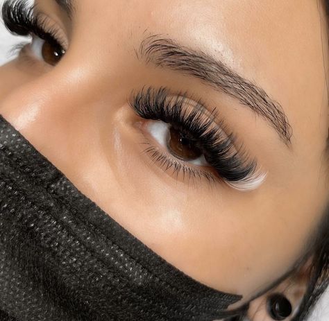 Eyelash Extensions With Color, Lash Extensions With Color, Natural Fake Eyelashes, Lash Extentions, Lashes Fake Eyelashes, Eyelash Tinting, Lash Extensions Styles, Eyelash Extensions Styles, Perfect Eyelashes