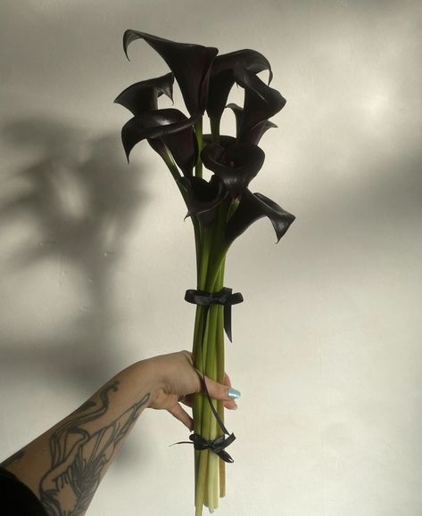 Calla Lillies Bouquet, Black Calla Lily, Goth Chic, Calla Lily Bouquet, Lily Bouquet, Fantasy Wedding, Flower Therapy, Calla Lilies, Wedding Mood