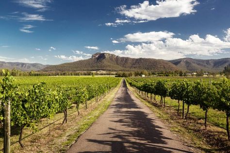 Choosing a Hunter Valley Wine Tour | Plan a trip to Sydney Spring Break Getaways, Semillon, Best Weekend Getaways, Salt Of The Earth, Ski Vacation, Western Ghats, Hunter Valley, The Hunter, Vacation Resorts