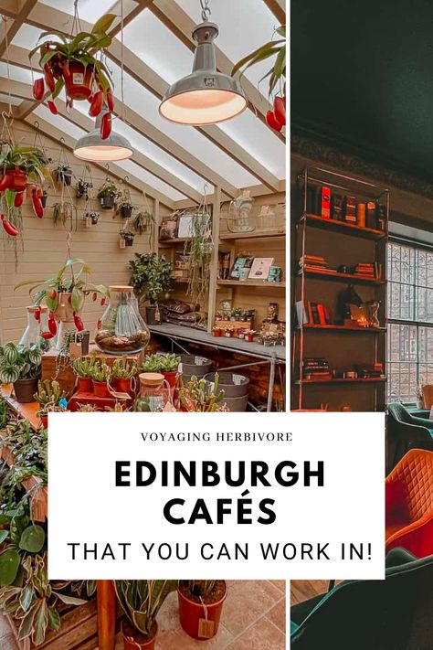 Grab your laptop, buy a coffee, and choose from one of the best working cafes from the list! Edinburgh Cafe, Edinburgh Photography, Edinburgh Travel, Visit Edinburgh, Edinburgh University, Cheap Coffee, Cafe House, Best Coffee Shop, Cozy Cafe