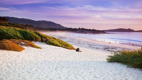 Best Relaxing Vacation Destinations in the U.S. - Thrillist California Towns, Carmel Beach, Carmel California, Beach Towns, Best Vacation Spots, Coastal California, Usa Beaches, Weekend Escape, Wine Country California