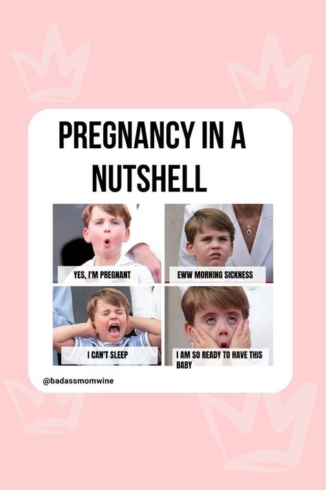 Funny pregnancy meme Pregnancy Memes, Pregnancy Art, Funny Pregnancy, Pregnancy Quotes, I'm Pregnant, I Cant Sleep, Morning Sickness, Pregnancy Humor, In A Nutshell