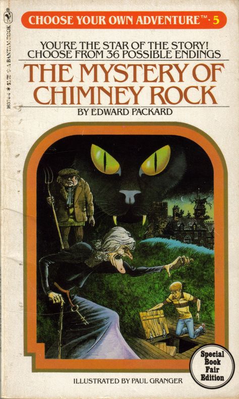 Choose Your Own Adventure Books, Adventure Books, Chimney Rock, Favorite Childhood Books, Kids Book Series, Choose Your Own Adventure, Best Children Books, Children Books, Childhood Books