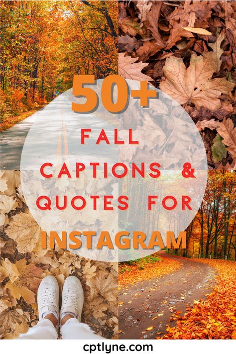 Fall in love with those perfect fall captions for Instagram! These quotes and captions are great for your nature photos. | autumn Instagram captions | fall Instagram captions | Instagram captions | fall captions for Instagram cute | fall captions for Instagram boyfriend | fall quotes and sayings | fall quotes aesthetic | fall pumpkins captions | fall aesthetic | autumn mood | short fall captions | fall bucket list | Fall Captions For Instagram Boyfriend, Autumn Instagram Captions, Autumn Puns, Fall Quotes Aesthetic, Captions For Instagram Cute, Fall Quotes And Sayings, Fall Puns, Fall Captions, Instagram Boyfriend