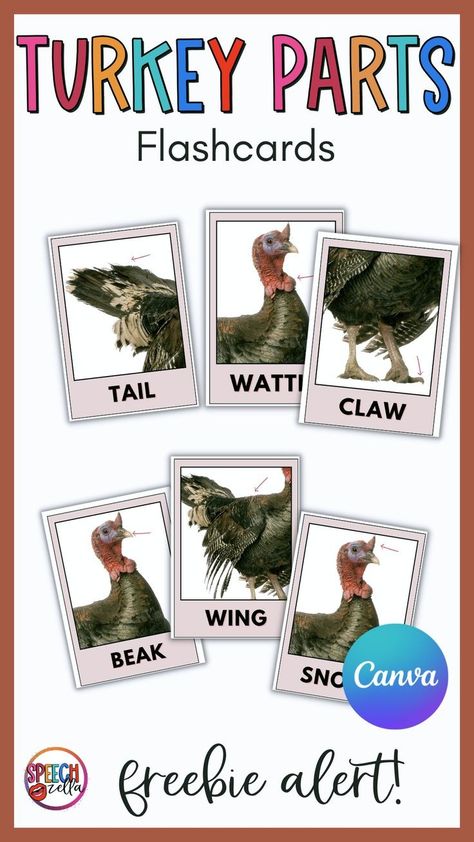 Get your students involved in Thanksgiving fun with these parts of a turkey flashcards! This free download is perfect for speech therapy, helping children learn and grow. Don't miss out on this engaging resource! Thanksgiving Speech Therapy, Build A Turkey, Thanksgiving Speech, Book Turkey, Speech Therapy Activities Language, Thanksgiving Worksheets, Free Thanksgiving Printables, Language Therapy Activities, Thanksgiving Words