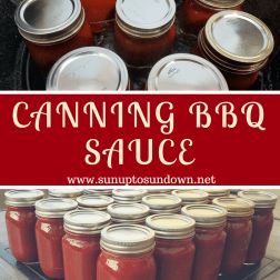 Fun Canning Recipes, Canning Gravy, Canning Bbq Sauce Water Bath, Canning Recipes Meals, Canned Bbq Sauce, Sauce Canning Recipes, Canning Bbq Sauce, Canning Sauces, Canning Water