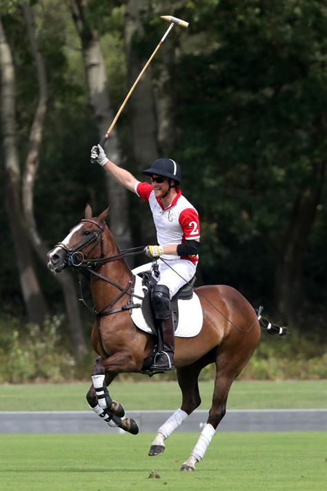 The Cambridges and Sussexes At the King Power Royal Charity Polo Day | Tom + Lorenzo Men's Equestrian, Polo Horse, Prins Harry, Mulberry Bag, Prince Louis, Sport Of Kings, King Power, Polo Match, Royal Babies