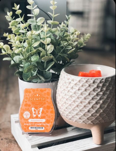 Take a stand wax warmer $45. Wax bar$6. Scentsy Catalog, Scentsy Wax Warmer, Scentsy Marketing, Scentsy Warmers, Scentsy Consultant Ideas, Scentsy Wax Bars, Scentsy Scent, Scentsy Bars, Electric Candle Warmers