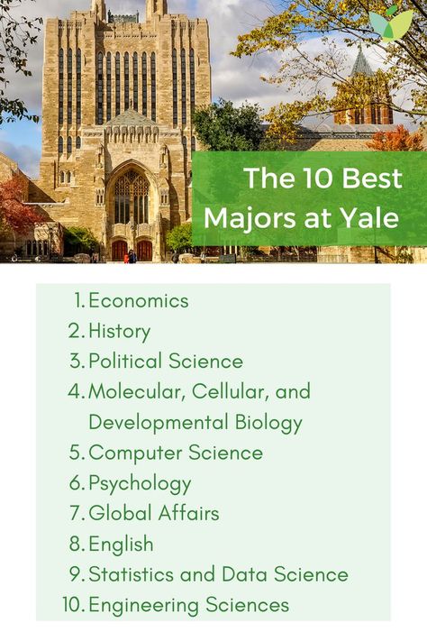 🏫 As an #IvyLeague institution, Yale University is one of the most #prestigious schools in the country. Most #students know Yale for its #academic rigor and highly competitive #application process. 📑 The #university is also known for top-tier #programs in an array of disciplines. 🔗 Click to learn whether you would get accepted to Yale, how to choose the right #undergraduate #major for you, and why these majors are the most popular at #Yale! 💡 Dream Collage, Engineering Science, University Courses, Yale University, Ivy League, Business School, Data Science, Undergraduate, Computer Science