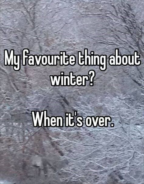 38 Pointless Memes That'll Eliminate Your Boredom, Guaranteed - Memebase - Funny Memes Hate Winter, E Card, Look At You, Bones Funny, Make Me Happy, The Words, Great Quotes, Funny Photos, True Stories