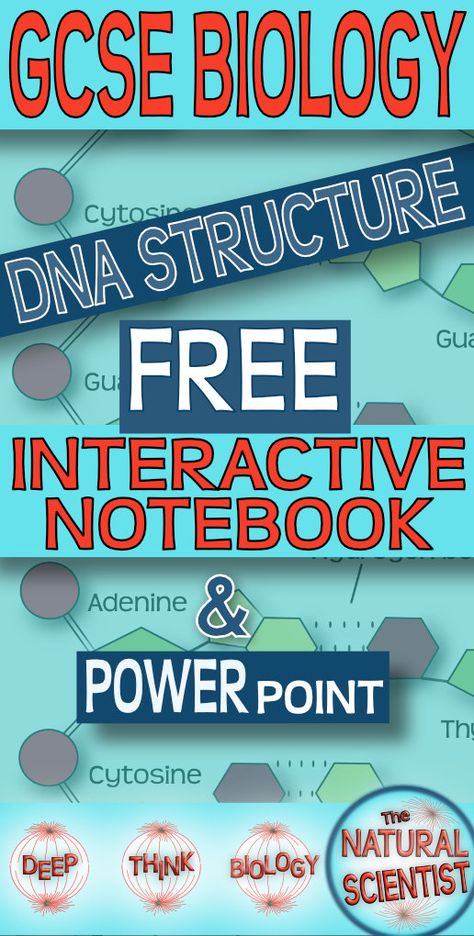 Igcse Biology, Gcse Biology, Dna Structure, Biology Textbook, Bookmarks Quotes, A Level, Biology Lessons, Resources For Teachers, College Tips