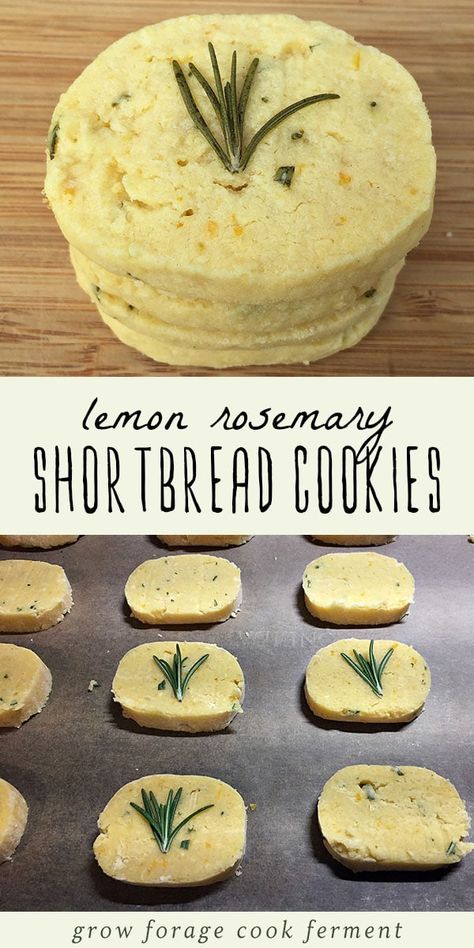 Rosemary Shortbread Cookies, Rosemary Shortbread, Lemon Shortbread, Lemon Shortbread Cookies, Vitamin B 12, Savoury Biscuits, Darkest Days, Lemon Rosemary, Shortbread Cookie Recipe