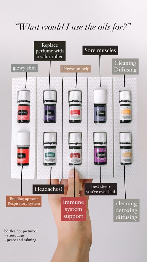 Essential Oils Purposes, Young Living Essential Oils Starter Kit, Young Living Diffuser Recipes, Premium Starter Kit Young Living, Young Living Starter Kit, Young Living Oils Recipes, Essential Oil Starter Kit, Eo Blends, Living Oils Recipes