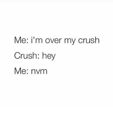 yup and this actually happened to me recently, cuz I don't see my crush that often so one day I was like I'm over him, and literally a week later I saw him and I was like oh nope nvm I'm not That One Crush, Get Well Meme, Not Over Him, Me And My Crush, Well Meme, Crush Quotes Funny, Funny Crush, Lesson Learned Quotes, Funny Crush Memes