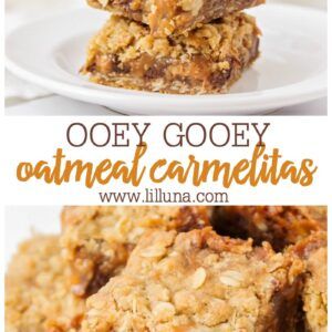 Chocolate Caramel Oat Bars, Carmel Bars Easy, Oatmeal Carmelitas Bars, 9x9 Dessert Recipes, Caramel Recipes Desserts, Oatmeal Carmelitas, Carmelitas Recipe, Lemon Bars Easy, Medicine Tips