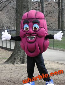 California Raisins Mascot Throwback Costumes, Food Mascot, Scary Food, California Raisins, Cheap Costumes, Fancy Costumes, Costume Anime, Carnival Costume, Sport School