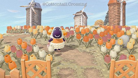 Acnh Tulip Field, Tulip Field, Tulip Fields, Wheat Fields, Animal Crossing Inspo, Acnh Ideas, Animal Crossing, The Netherlands, Tulips