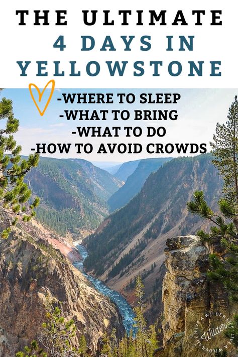 Yellowstone Itinerary 2 Days, Yellowstone Travel Guide, Yellowstone Trip Itinerary, Yellowstone In October, Yellowstone In May, Yellowstone National Park Itinerary, Yellowstone Vacation Planning, Yellowstone Hikes, Wyoming Trip