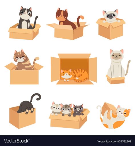 Cat Illust, Cat In Box, Cat And Book, Cat Logo Design, Cats In Boxes, Grey Kitten, 강아지 그림, Cat Vector, Cat Box