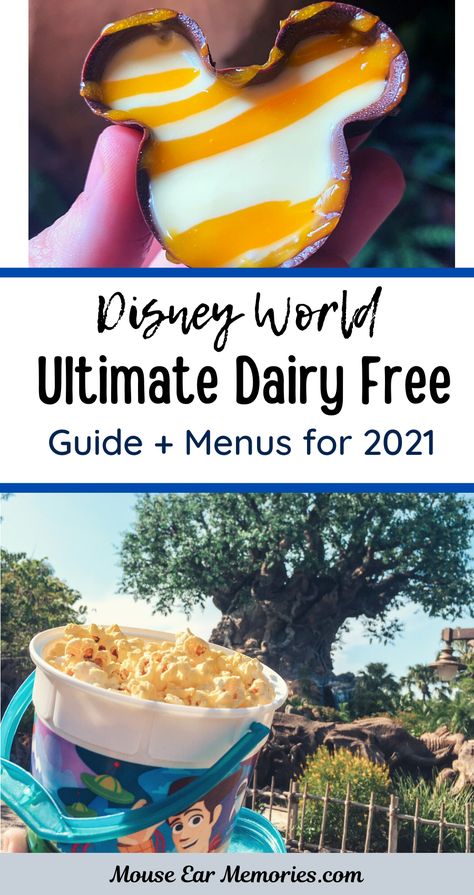 Dairy Free Desserts, Cookie Milkshake, Dairy Free Brownies, Disney World Tips, Dairy Free Snacks, Disney World Vacation Planning, Dairy Free Ice Cream, Disney World Food, Disney Dining Plan