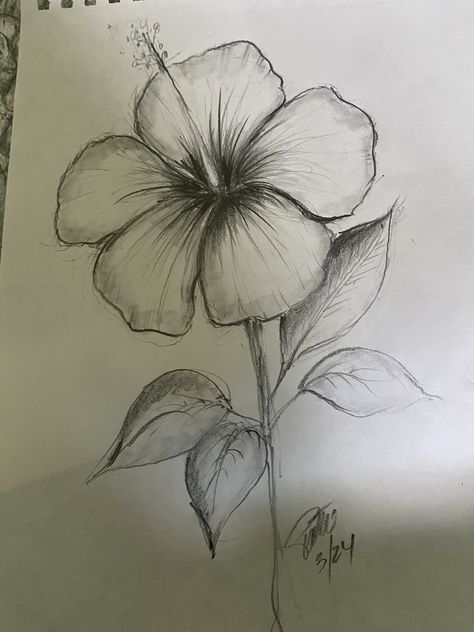 Flower Reference Drawing Sketch, Plants Drawing Sketch, Hand Drawing Flower, Drawing Reference Flowers, Flowers Aesthetic Sketch, Birthday Ideas Drawing, Pen Drawings Flowers, Flower Inspo Drawing, Sunrise Drawing Pencil