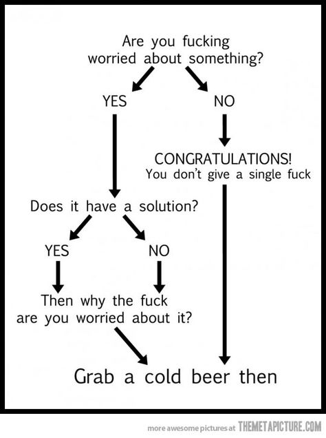 Are you worried about something? Tuesday Meme, Funny Jokes For Adults, Cold Beer, Flow Chart, Ecards Funny, Bad Timing, Sarcastic Humor, Funny People, Funny Images