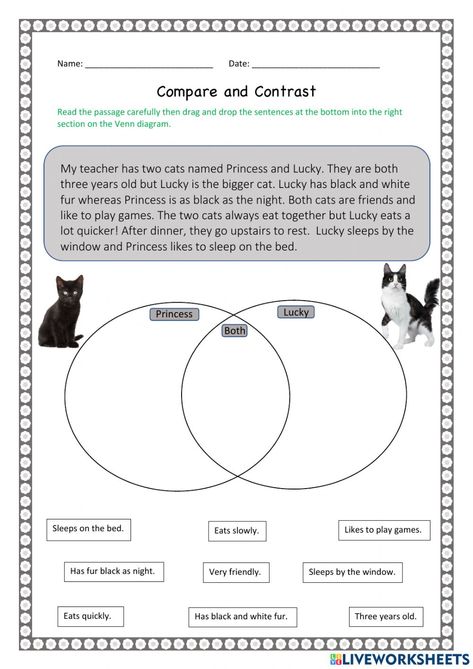 Language Comprehension Activities, Compare And Contrast Worksheet, Comparing Texts, Text Structure Worksheets, 2nd Grade Reading Worksheets, Elementary Worksheets, Worksheets For Grade 3, Pineapple Lemonade, History Worksheets