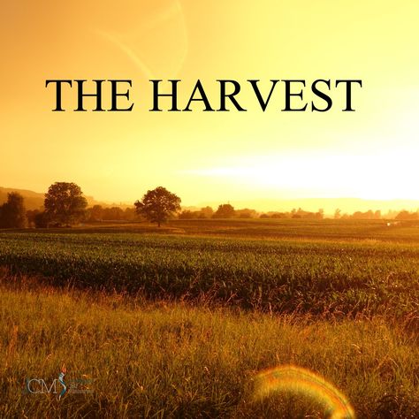 “The harvest is plentiful, but the workers are few.” -Matthew 9:37  Two harvests are maturing at the same time- the harvest of righteousness and the harvest of wickedness. Jesus tells us the harvest is the end of the age! Every one of us needs to be totally committed to God and His righteousness. Now is NOT the time to have our feet in two camps. Choose today whom you will serve! The Harvest Is Plentiful, Bountiful Harvest, Trumpets, Harvest Time, Jesus