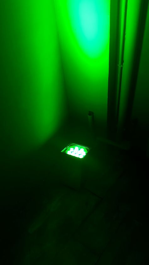 Green Light Light Green Rooms, Green Lighting, Black Cauldron, Green Windows, Holiday Party Themes, The Black Cauldron, Living Dead, Green Rooms, Party Lights