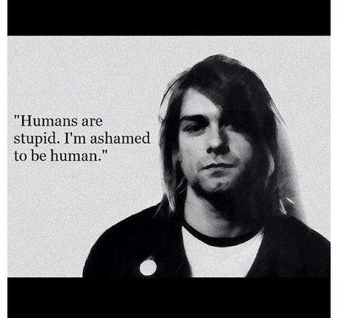 Kurt Cobain, spoken like a true introvert Nirvana Quotes, Kurt Cobain Quotes, Curco Vein, Nirvana Kurt Cobain, Nirvana Kurt, Evanescence, Amazing Quotes, My Chemical Romance, Lyric Quotes