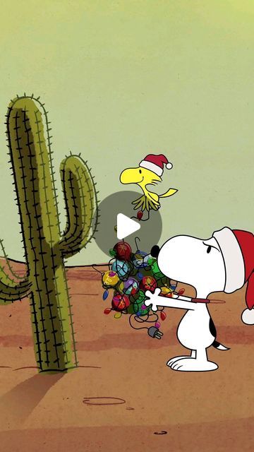 Snoopy Advent, Snoopy Cute, Snoopy Museum, Snoopy Quotes, Snoopy And Friends, Snoopy Love, Cute Videos, Snoopy Christmas, Charlie Brown And Snoopy