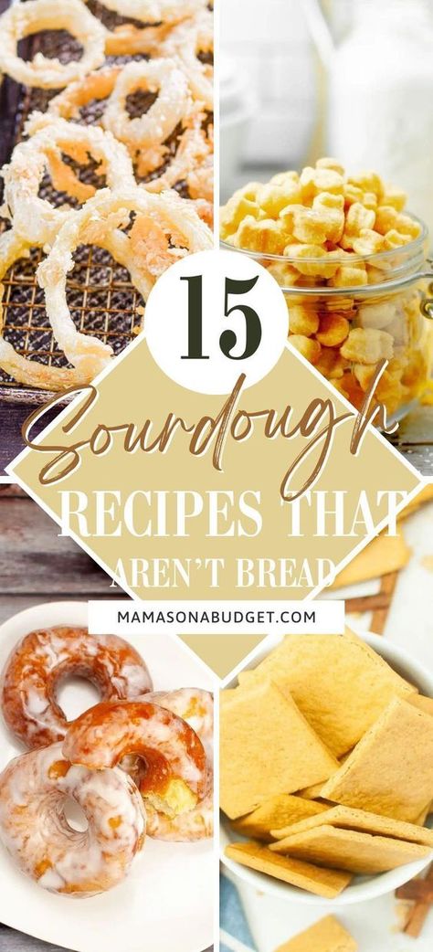 These delicious recipes are an excellent way to use your sourdough starter! You will love these recipes! Sourdough Starter Recipes Not Bread, Sourdough Recipe Ideas, Sourdough Recipes Using Starter, Sourdough Same Day Recipe, Things To Make With Sourdough Starter, Sourdough Sparrow, Whole Wheat Sourdough Starter Recipe, How To Make Sourdough Starter, Active Sourdough Starter Recipes