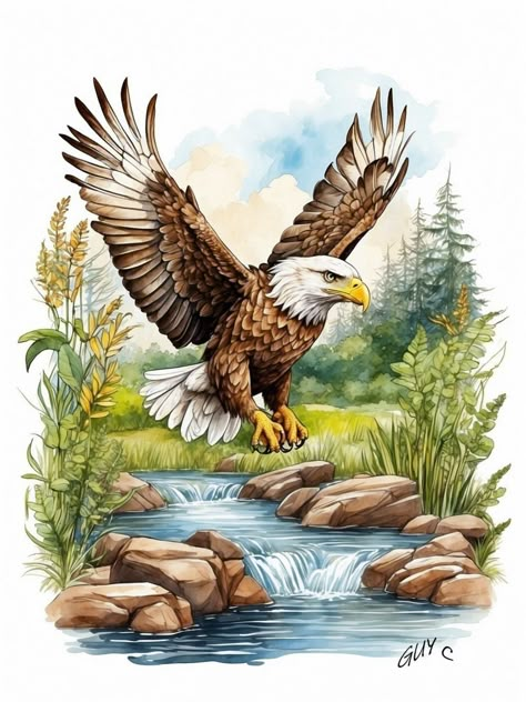 Eagle drawing