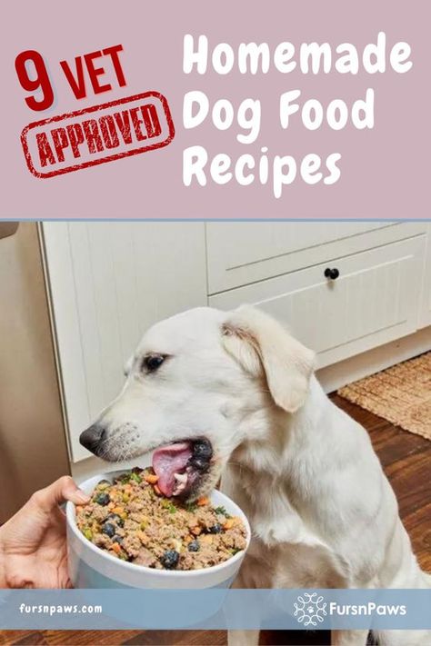 Treat your dogs to the best homemade dog meals with these 9 vet approved homemade dog food recipes! From hearty stews to tasty healthy recipes, there's a homemade dog food recipes vet approved option here for every canine appetite. #vetapprovedhomemadedogfoodrecipes #homemadedogfoodrecipesvetapproved #dogfood #healthydogfoodrecipes #homemadedogmeals Homemade Dog Food Vet Approved, Dog Homemade, Human Grade Dog Food, Dog Food Recipe, Diy Dog Food, Make Dog Food, Grain Free Dog Food, Love At First Bite, Food Making