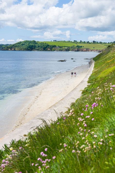 Cornwall Falmouth, Castle Beach, Falmouth Cornwall, Cornwall Coast, Cornwall Beaches, Sea Shanties, Sandy Shores, Falmouth, Crystal Blue