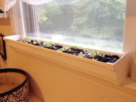 With summer coming to an end, I decided to start working on some indoor planters. After checking out the selection of various pots and window boxes at the home improvement store, I wound up with no... Diy Window Sill, Indoor Window Planter, Indoor Window Boxes, Window Sill Planter, Diy Window Box Planter, Diy Planters Indoor, Window Boxes Diy, Window Planter, Gutter Garden