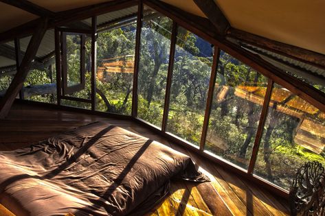 Dream Cabin Loft, Wollemi Cabins, Blue Mountains, Australia [1100 × 733] Cabin Loft, Wilderness Retreat, Casa Vintage, Blue Mountains, Nsw Australia, Forest House, House Goals, Dream Rooms, Design Case