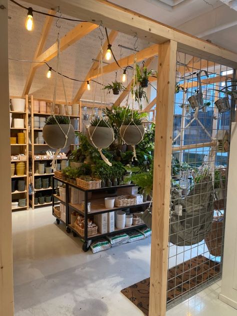 Plant Nursery Ideas Display Garden Centre, Greenhouse Retail Displays, Plant Retail Display, Outdoor Retail Display, Retail Greenhouse Display Ideas, Retail Plant Display Ideas, Garden Center Displays Retail, Plant Store Display, Plant Shop Interior