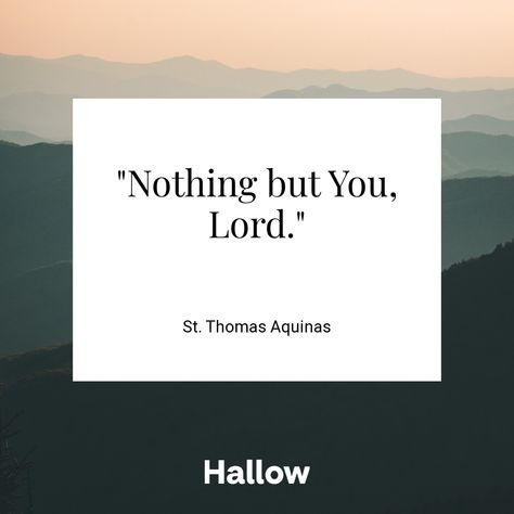 St Thomas Aquinas Quotes, Thomas Aquinas Quotes, Righteous Anger, St Thomas Aquinas, Saint Thomas Aquinas, Saint Thomas, Thomas Aquinas, Right To Privacy, St Thomas