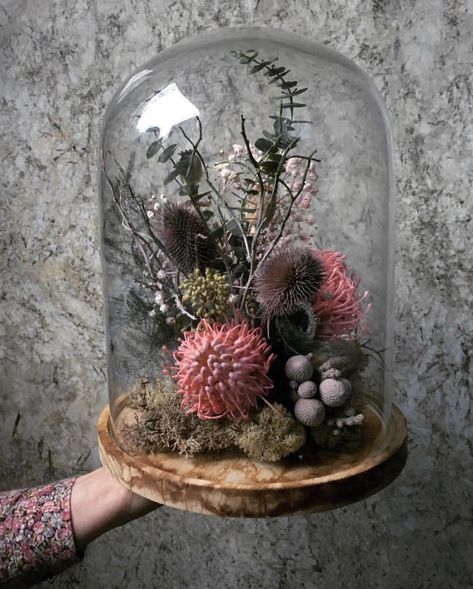 Pearl Lowe on Instagram: “How wonderful is this Bell Jar full of dried flowers?🌸” Glass Apothecary Jars Decor, Flower Cloche, Art Floral Japonais, Cloche Decor, Bell Jars, Diy Fleur, Florist Design, Flowers In Jars, Flower Arrangements Diy